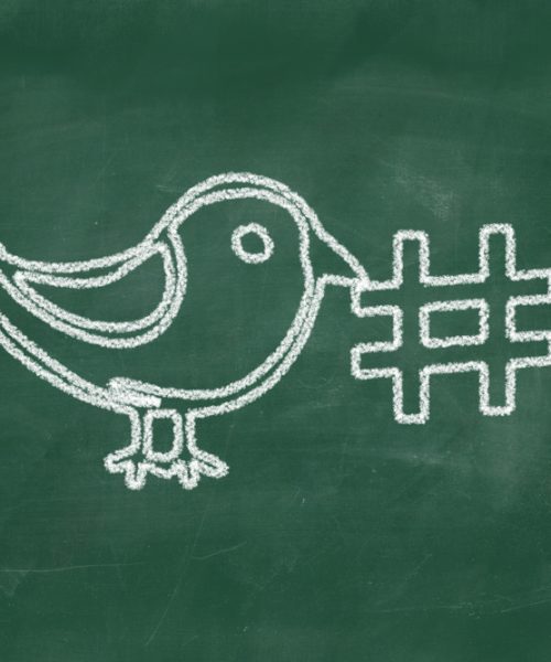 A black board with a bird drawn in chalk holding a hashtag sign