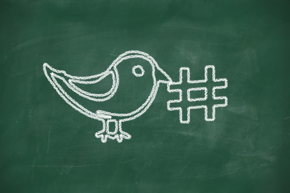 A black board with a bird drawn in chalk holding a hashtag sign