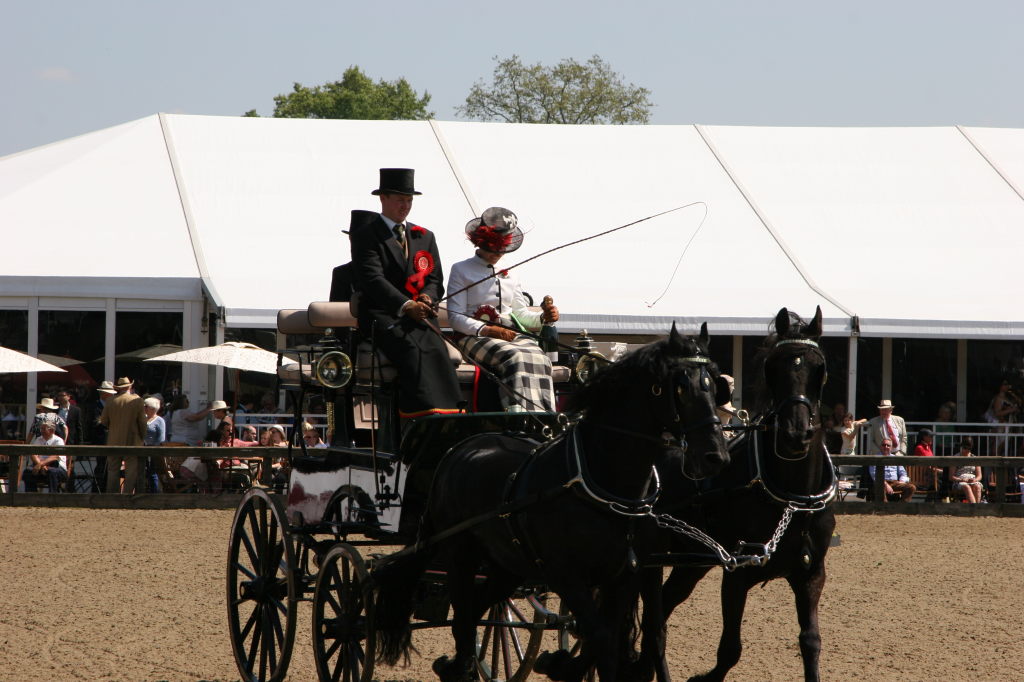 RWHS Carriage Riding