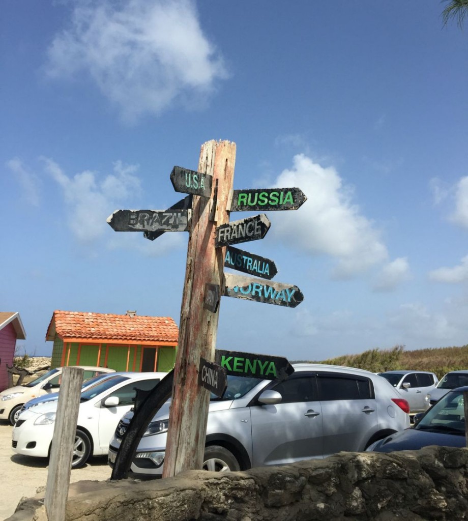 Animal Flower Cave Sign Post