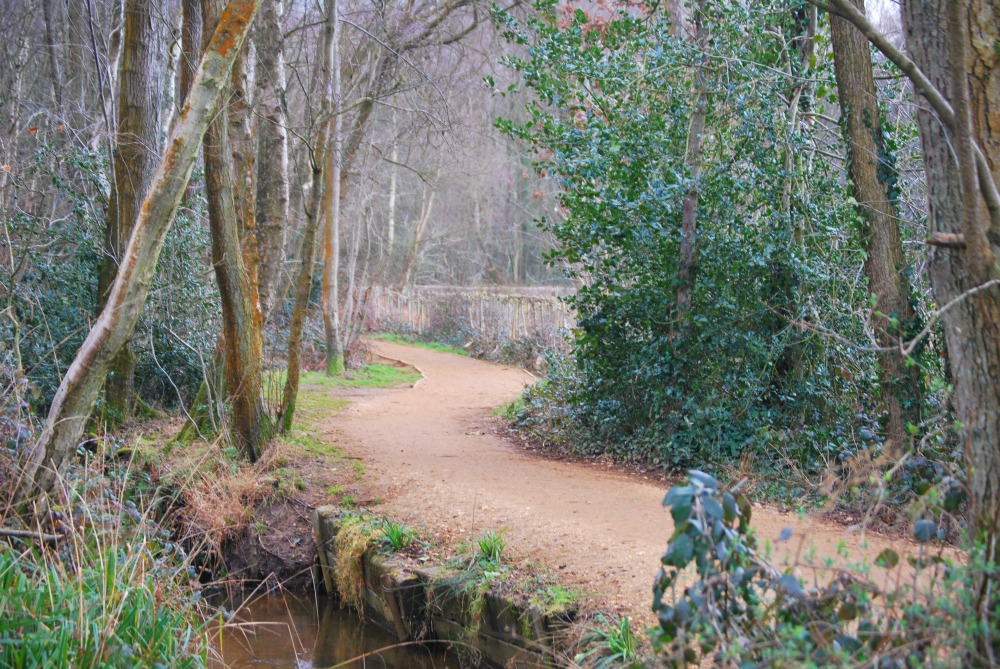Fleet Pond Path