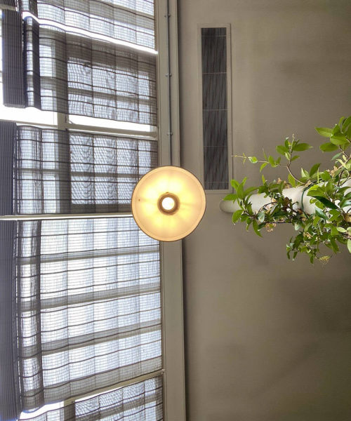 The Pig, Brockenhurst, conservatory, glass roof, foraging