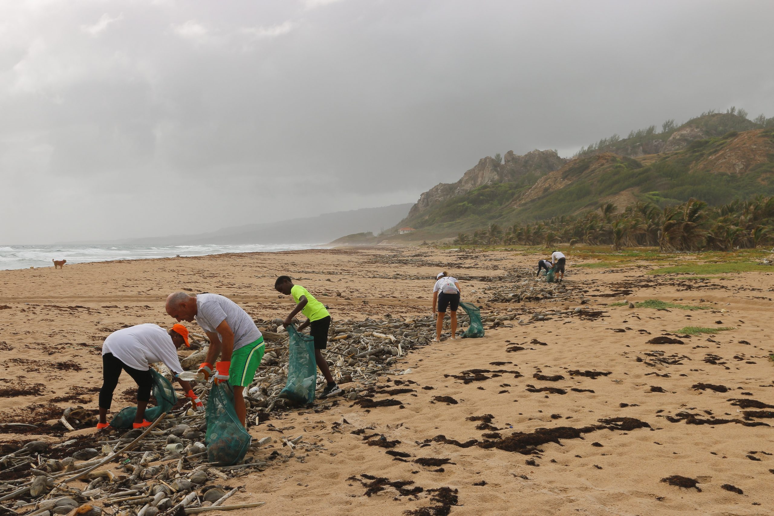 People collect rubbish from the foreshore of a beach