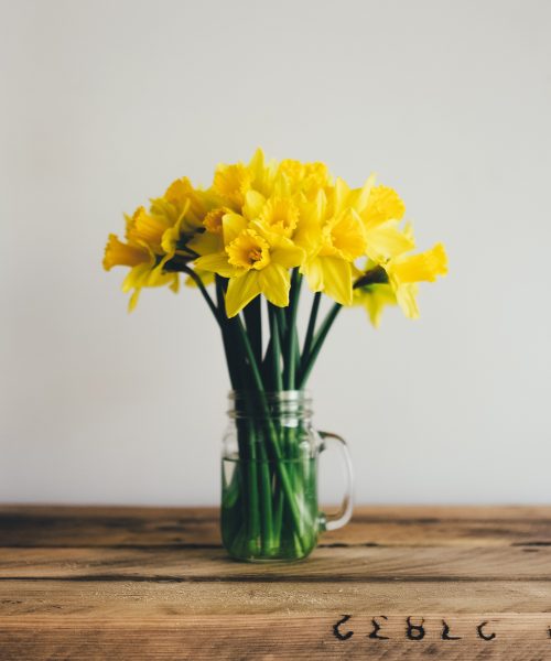A bunch of daffodils sits in a clear mason jar on a wooden table